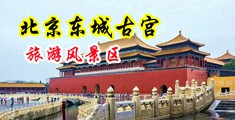 美女任你插逼中国北京-东城古宫旅游风景区