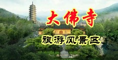 免费肏女人逼逼视频网站中国浙江-新昌大佛寺旅游风景区
